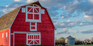 lofted barn shed